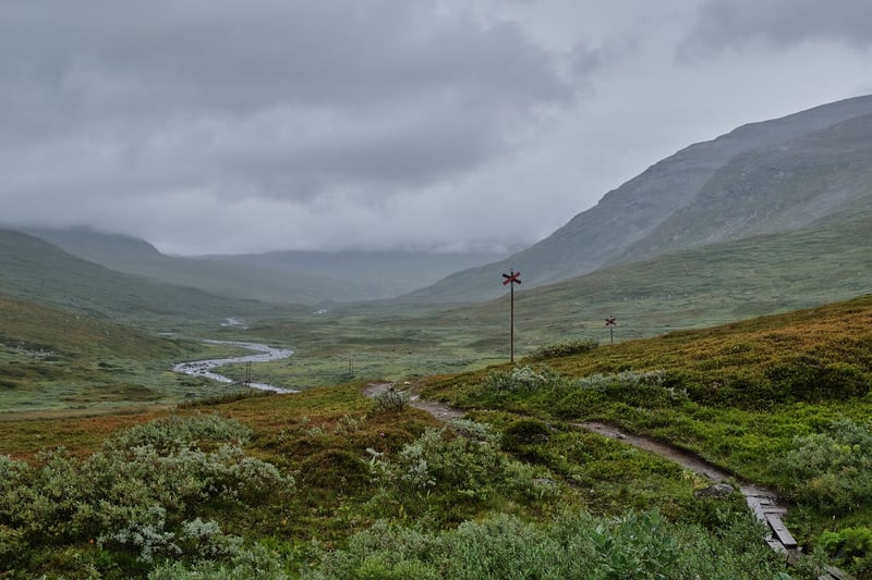 Wilderness Trek