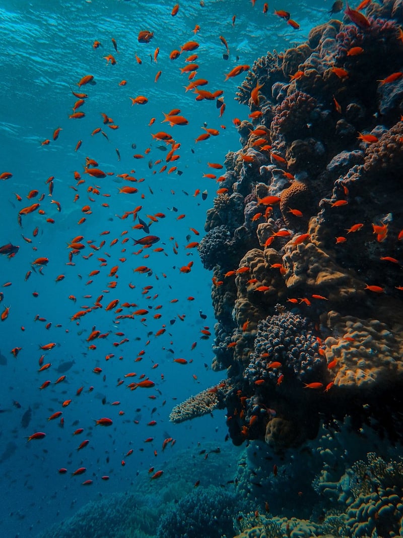 Cave Diving