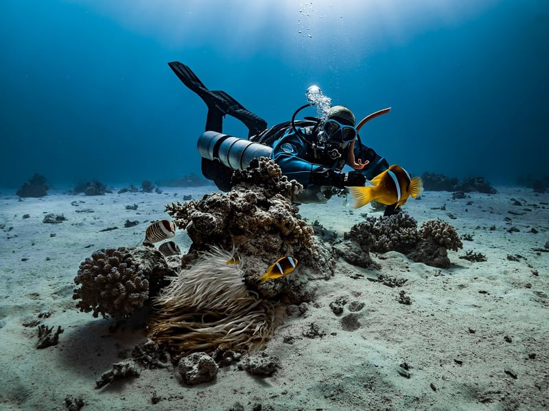 Underwater Photography